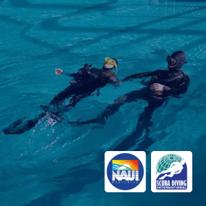 Open Water Diver - Private-Instruction