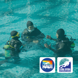Bring A Buddy - Open Water Diver Group Special