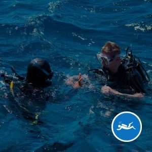 Open Water Referral Dive Certification