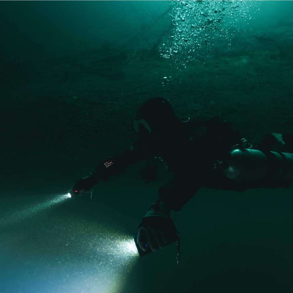 Guided Night Dive