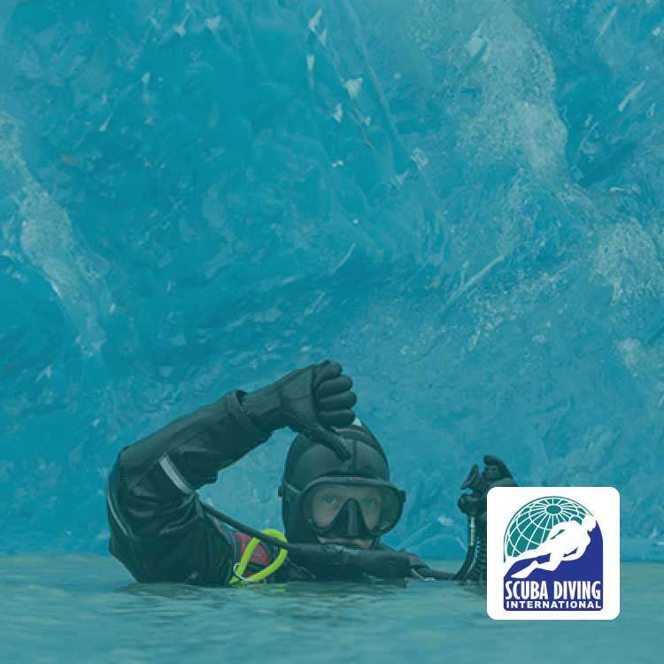 Dive Master [DM] SDI