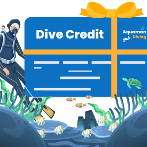 Dive Credit