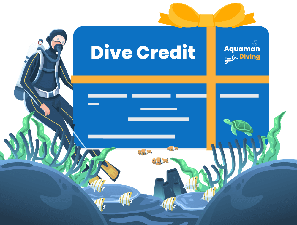 Dive Credit