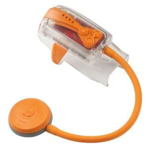 Snorkie Talkie