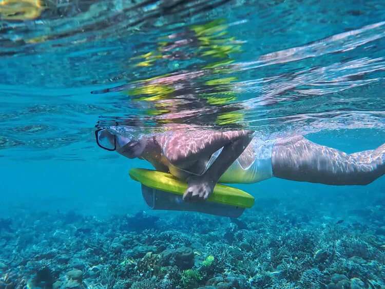 Powered Kickboard & Snorkel Tours