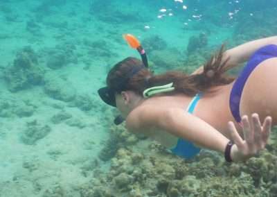 Guided Snorkel Tours