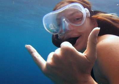 Guided Snorkel Tours