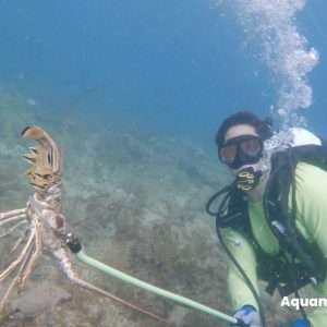 Lobster Hunt Tour