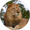 Brian Dowling profile picture